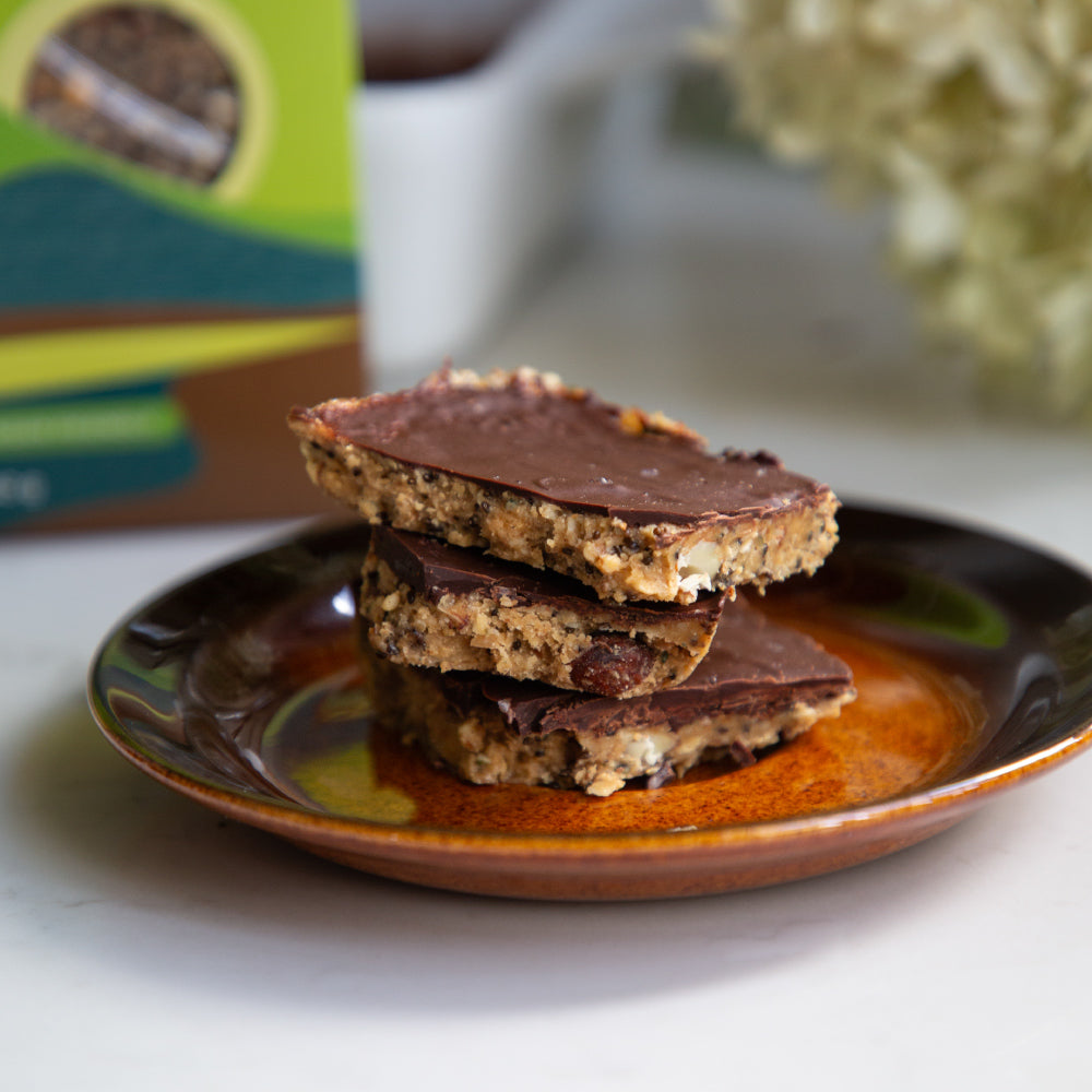 Chocolate Peanut Butter Protein Bars